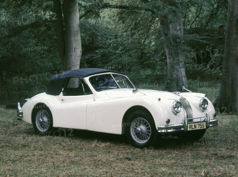 1954 Jaguar XK140 DHC Artist: Unknown.