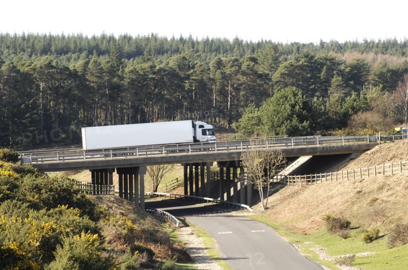 The A31 Dual Carriageway through New Forest Artist: Unknown.