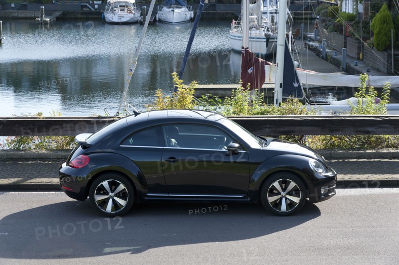 2012 Volkswagen Beetle Artist: Unknown.