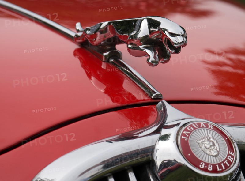 Leaping cat mascot on Jaguar 3.8 litre