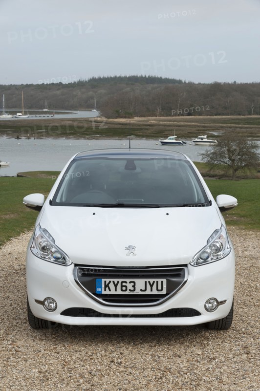2014 Peugeot 208 Hdi Artist: Unknown.