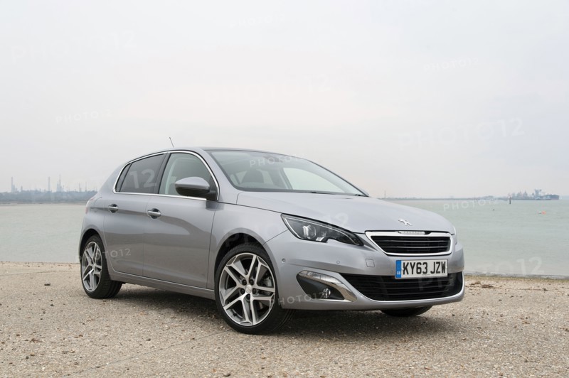 2014 Peugeot 308 THP 156 Feline Artist: Unknown.