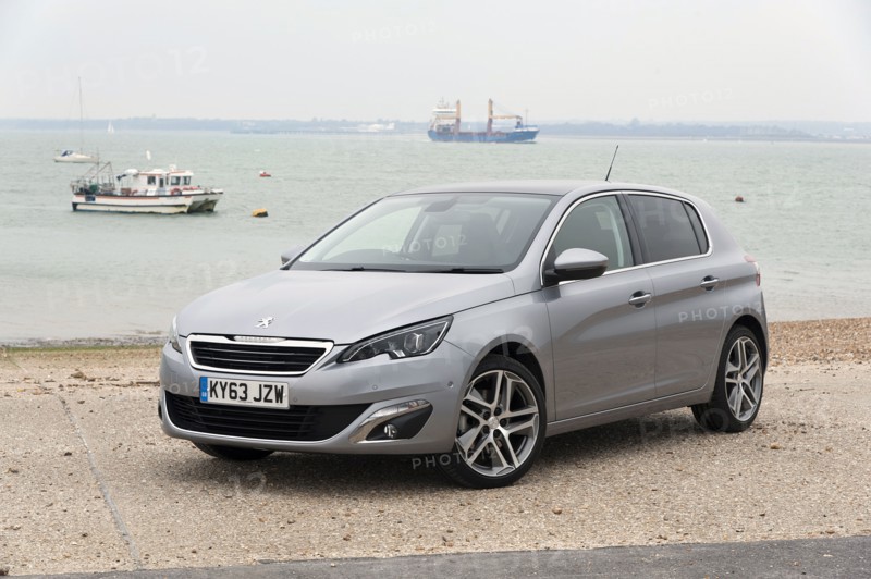 2014 Peugeot 308 THP 156 Feline Artist: Unknown.