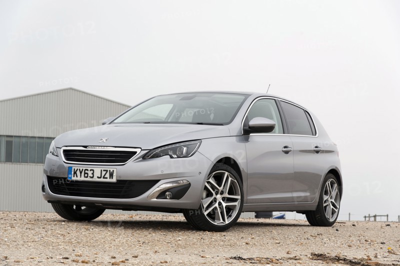 2014 Peugeot 308 THP 156 Feline Artist: Unknown.