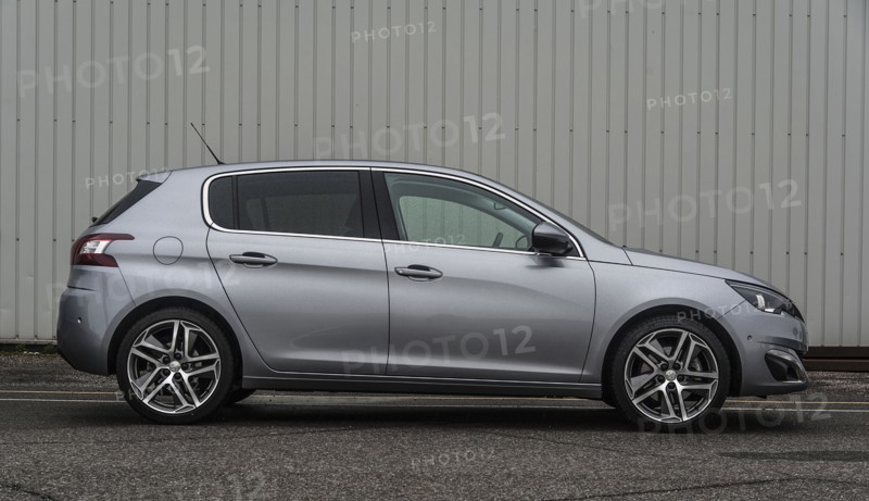 2014 Peugeot 308 THP 156 Feline Artist: Unknown.