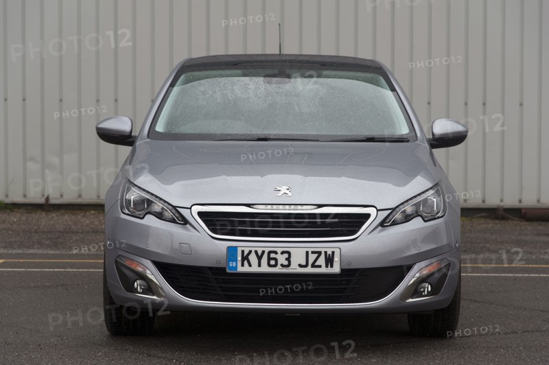 2014 Peugeot 308 THP 156 Feline Artist: Unknown.