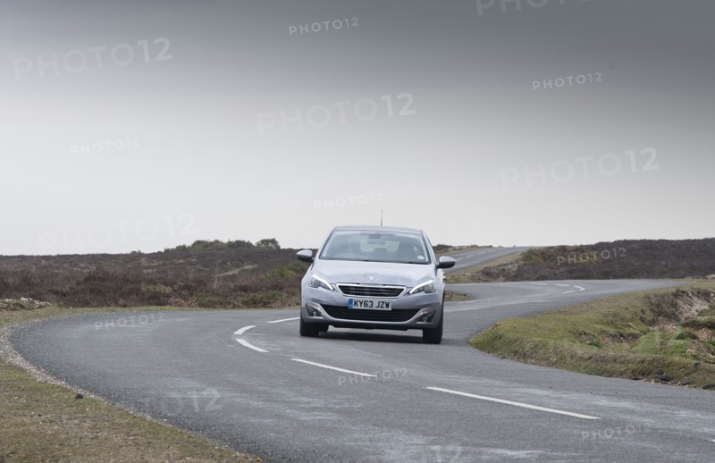 2014 Peugeot 308 THP 156 Feline Artist: Unknown.
