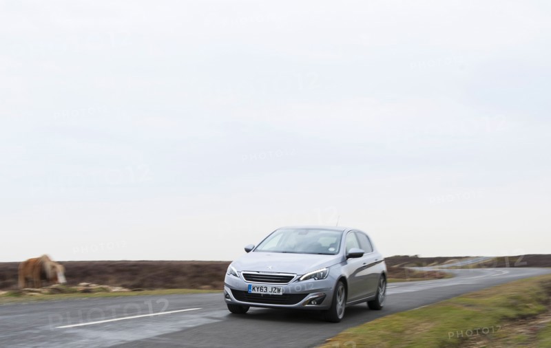 2014 Peugeot 308 THP 156 Feline Artist: Unknown.
