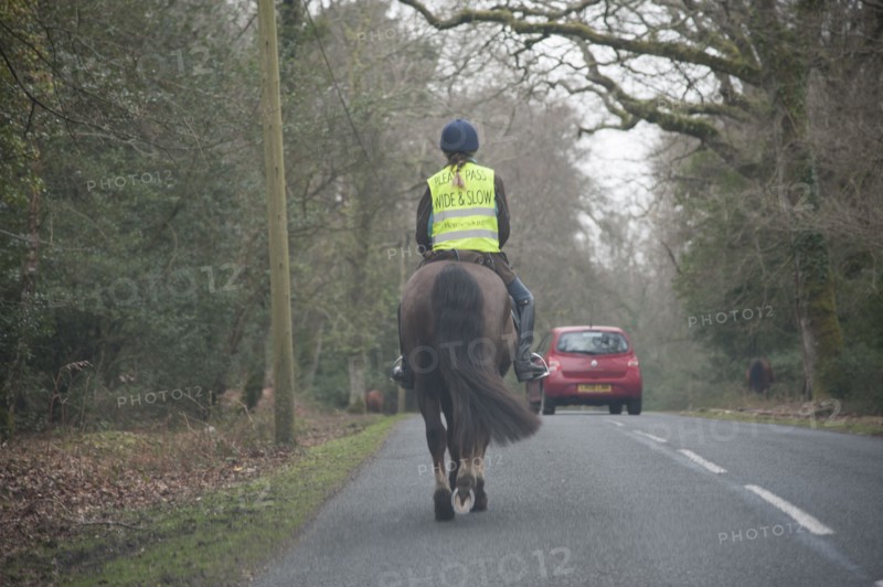 Rider on horseback on country road in New Forest 2014 Artist: Unknown.