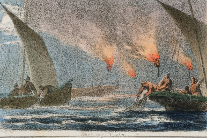 'Anchovy Fishing', c1845. Artist: Benjamin Waterhouse Hawkins