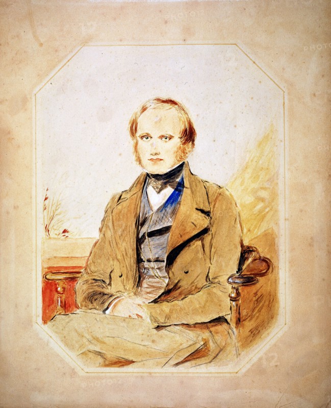 Charles Darwin, English naturalist. Artist: Unknown