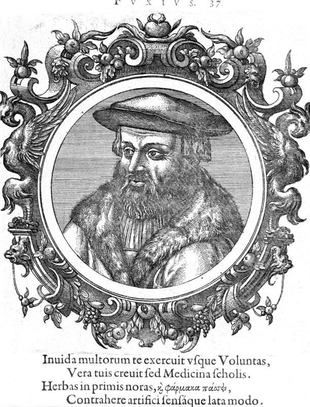 Leonhard Fuchs, German botanist and physician. Artist: Unknown