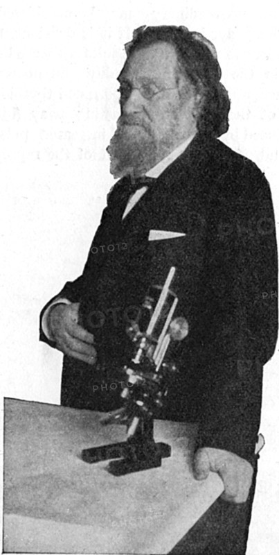 Ilya Ilich Mechnikov, Russian microbiologist. Artist: Unknown