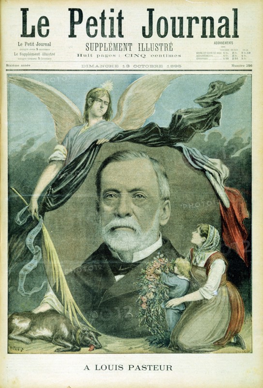 Louis Pasteur, French chemist, 1895. Artist: Unknown
