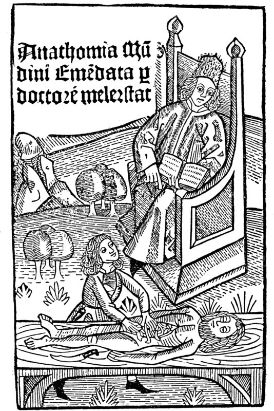 Anatomy demonstration, 1493. Artist: Unknown