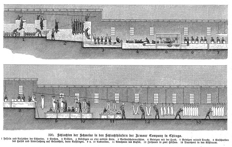 Armour Company's pig slaughterhouse, Chicago, Illinois, USA, 1895. Artist: Unknown