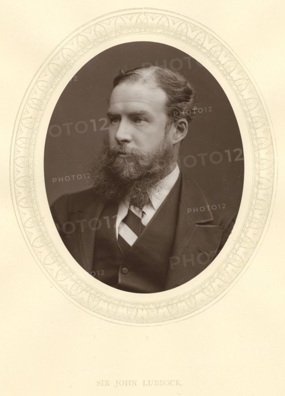 John Lubbock, first Baron Avebury, English banker, archaeologist, naturalist and politician, c1880. Artist: Unknown