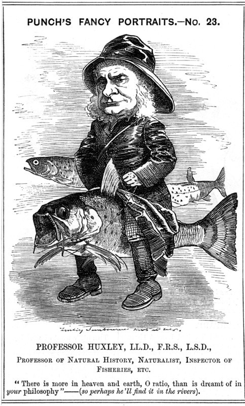 Thomas Henry Huxley, English biologist, 1881. Artist: Edward Linley Sambourne