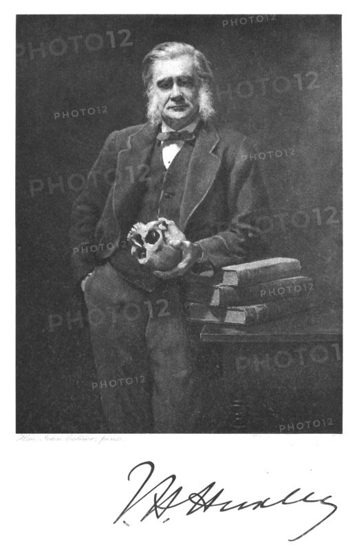 Thomas Henry Huxley, English biologist, 1883. Artist: Unknown