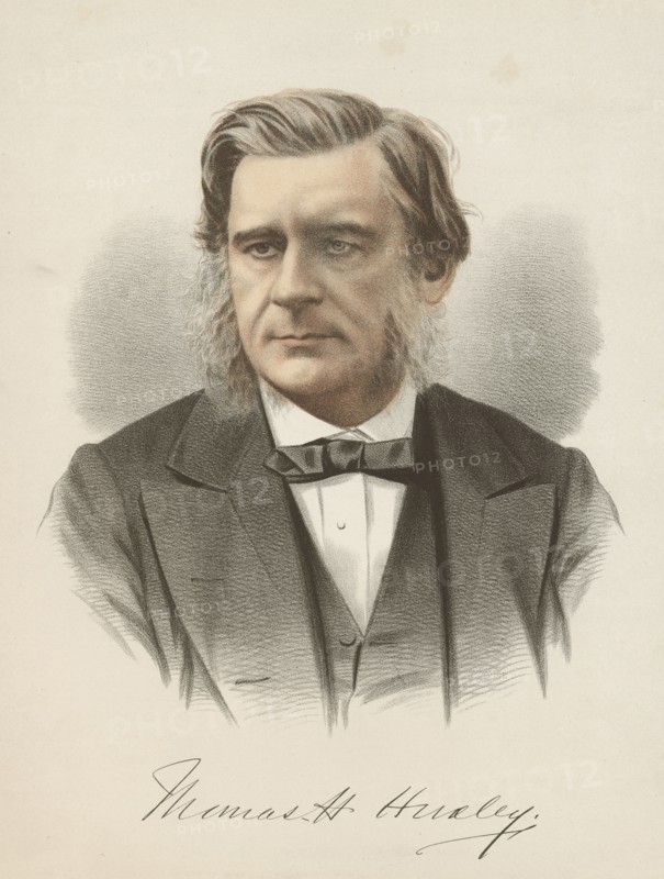 Thomas Henry Huxley, English biologist, c1880. Artist: Unknown