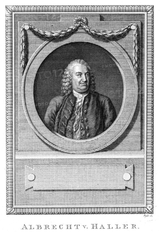 Albrecht von Haller, Swiss physician and scientist, c1770 (c1780). Artist: Unknown