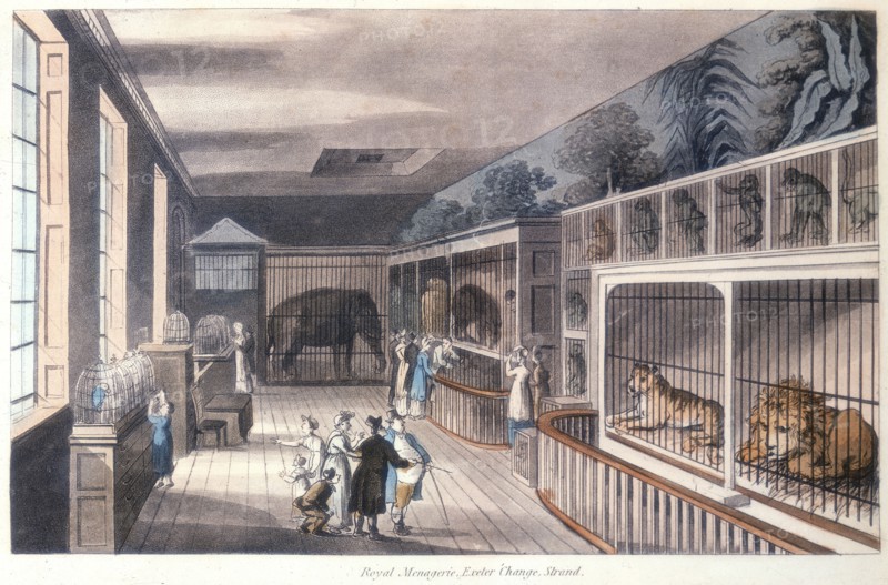 'Royal Menagerie, Exeter Change, Strand, London', c1820. Artist: Unknown