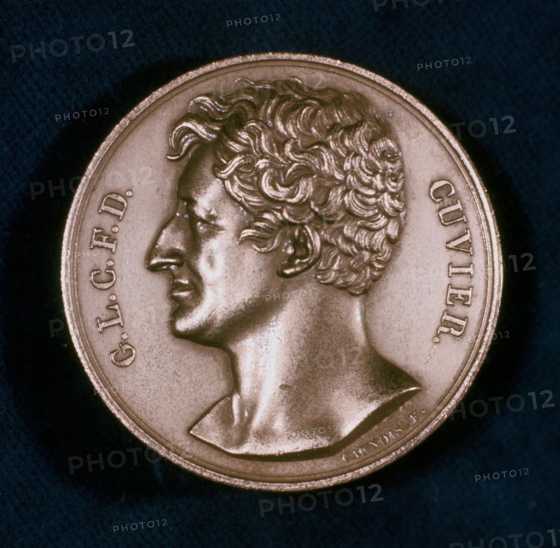 Georges Leopold Chretien Frederic Dagobert, Baron Cuvier, French anatomist, 19th century. Artist: Unknown