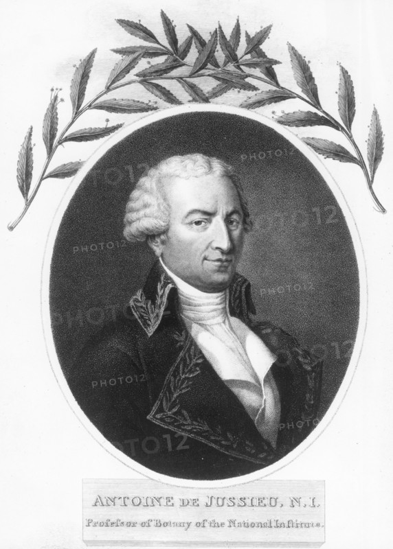 Antoine de Jussieu, 18th century French botanist, 1807. Artist: Unknown