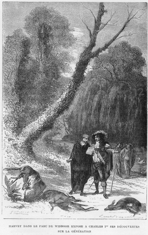 William Harvey, English physician, in Windsor Park, 17th century (1870). Artist: Unknown