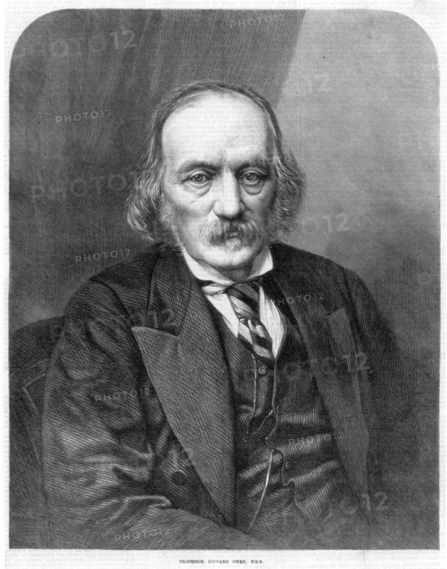 Richard Owen, English anatomist and paleontologist, 1872. Artist: Unknown