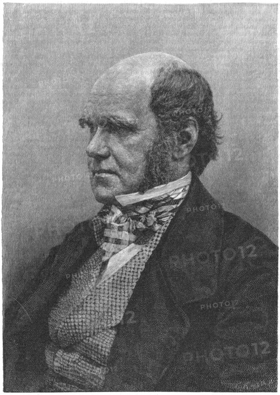 Charles Darwin, English naturalist, 1884. Artist: Anon
