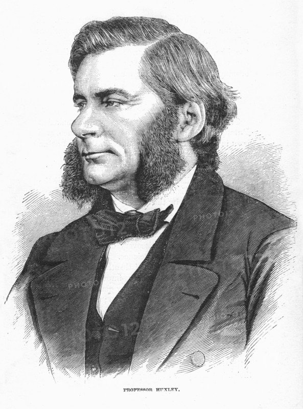 Thomas Henry Huxley, British biologist, c1860s. Artist: Unknown