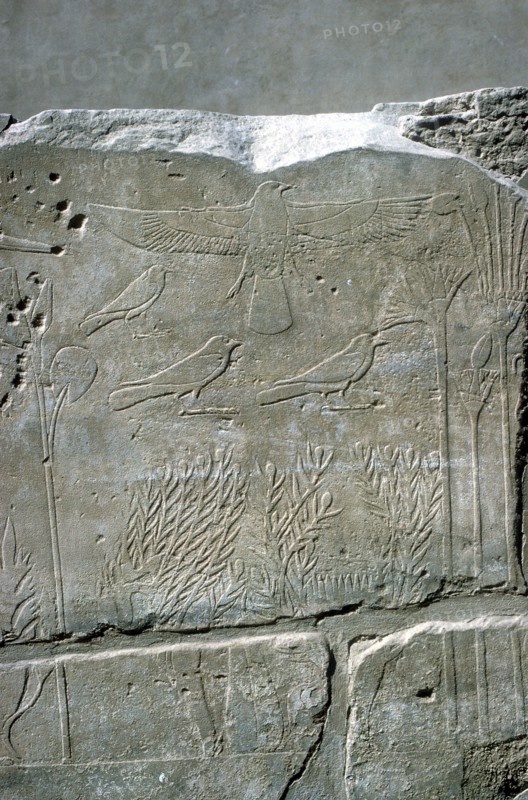 Reliefs in the Botanical Garden, Temple of Amun, Karnak, Egypt. Artist: Unknown