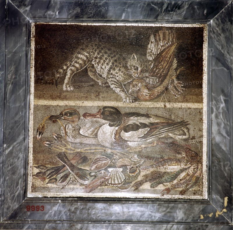 Roman mosaic of a cat with ducks, Pompeii, Italy. Creator: Unknown.