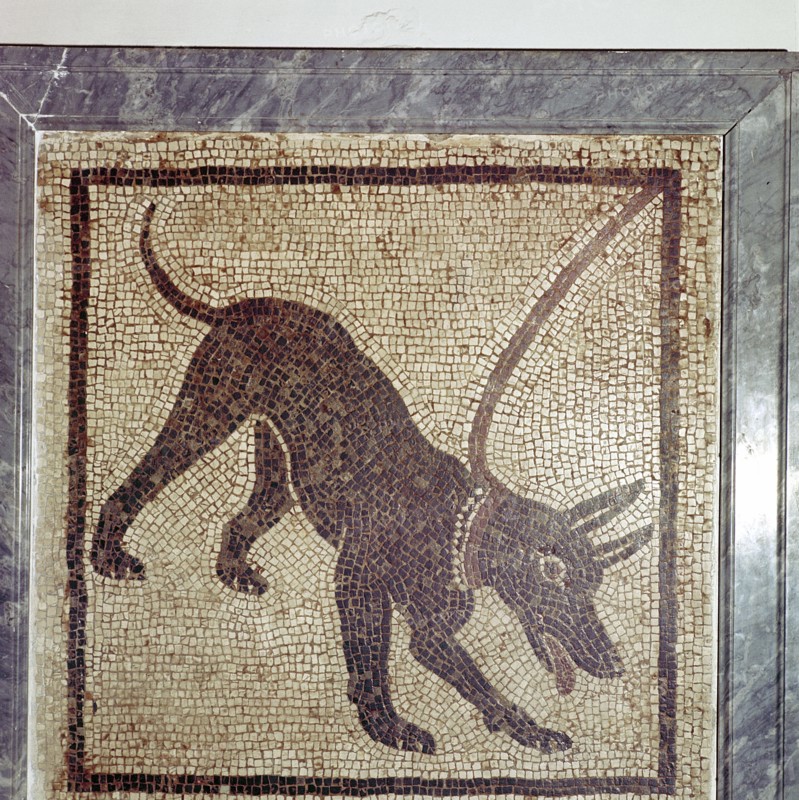 Roman mosaic of dog, Cave Canem, Pompeii, Italy. Creator: Unknown.