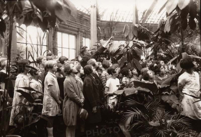 A group of girls are shown the features of a conservatory, York,  Yorkshire,  1929. Artist: Unknown