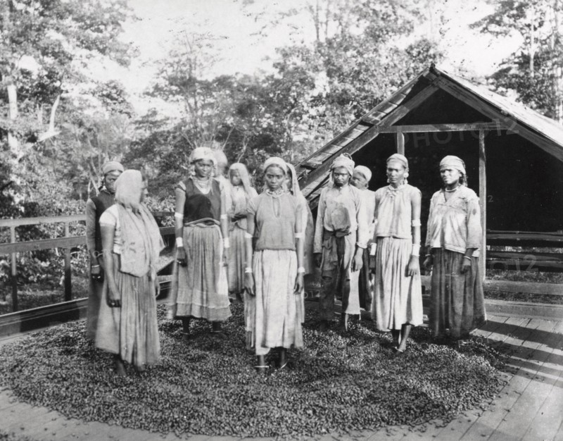 Group of women workers standing outside a cocoa drying house, 1897. Artist: Unknown