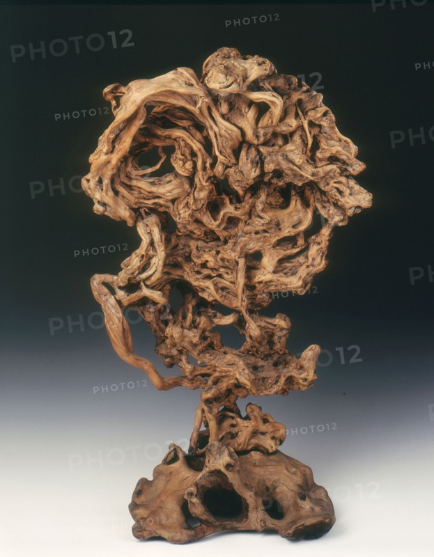 Natural wood sculpture of cobra hood shape, Qing dynasty, China, 1644-1912. Artist: Unknown