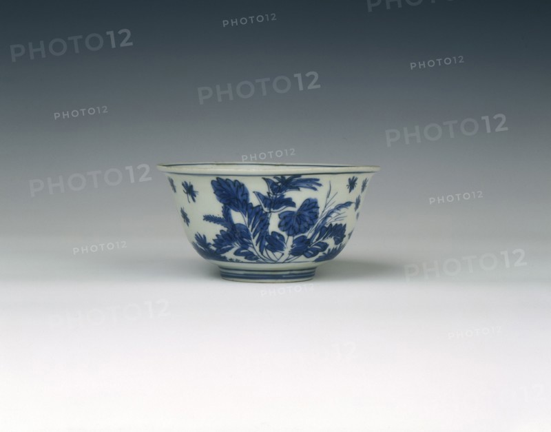 Blue and white bowl with cabbage-like flowers, Ming dynasty, China, 1550-1580. Artist: Unknown