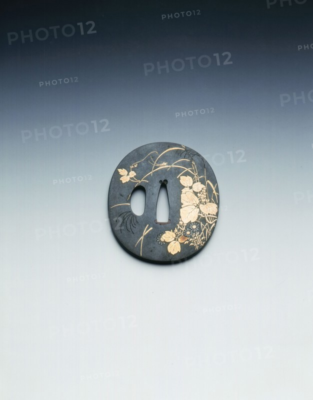 Tsuba (sword hilt) in shakudo with gold inlays of grasses and cricket, Japan, early 19th century. Artist: Unknown