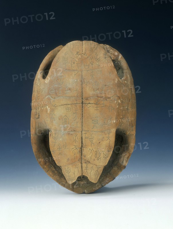 Petrified tortoise shell with oracle bone inscriptions, possibly Shang Dynasty, China, c1400 BC. Artist: Unknown