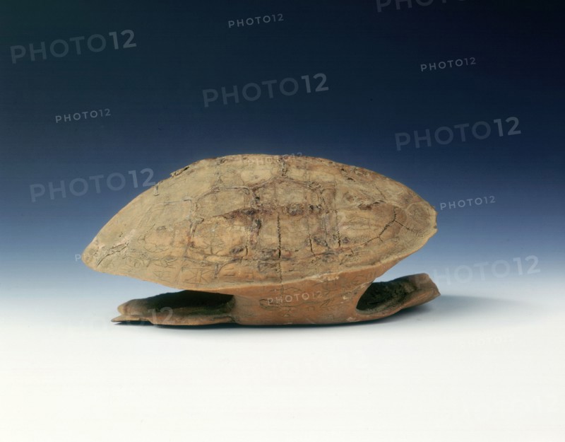 Petrified tortoise shell with oracle bone inscriptions, possibly Shang Dynasty, China, c1400 BC. Artist: Unknown