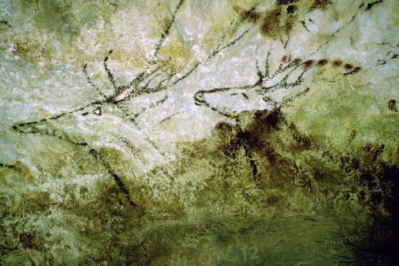 Cave-painting of 'swimming deer' from Lascaux, c15000 BC. Artist: Unknown