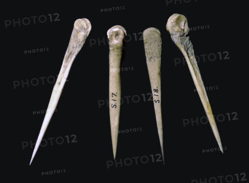 Neolithic bone pins. Artist: Unknown