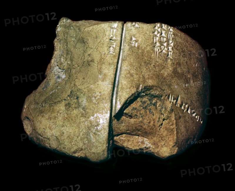 Babylonian clay model of a sheep's lung. Artist: Unknown