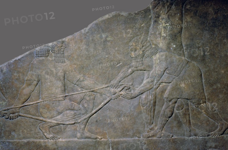 Stone panel from the North Palace of Ashurbanipal, Nineveh, northern Iraq, Neo-Assyrian, c645 BC. Artist: Unknown