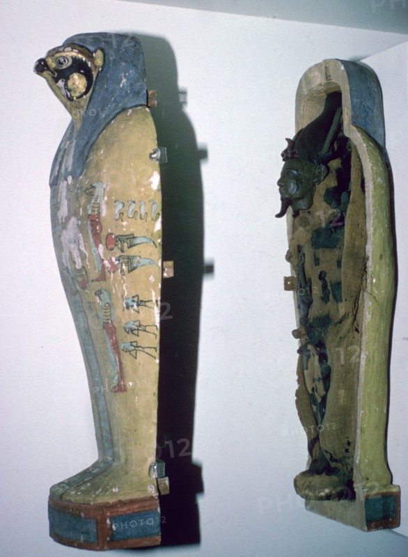 Egyptian small falcon-headed wooden coffin. Artist: Unknown