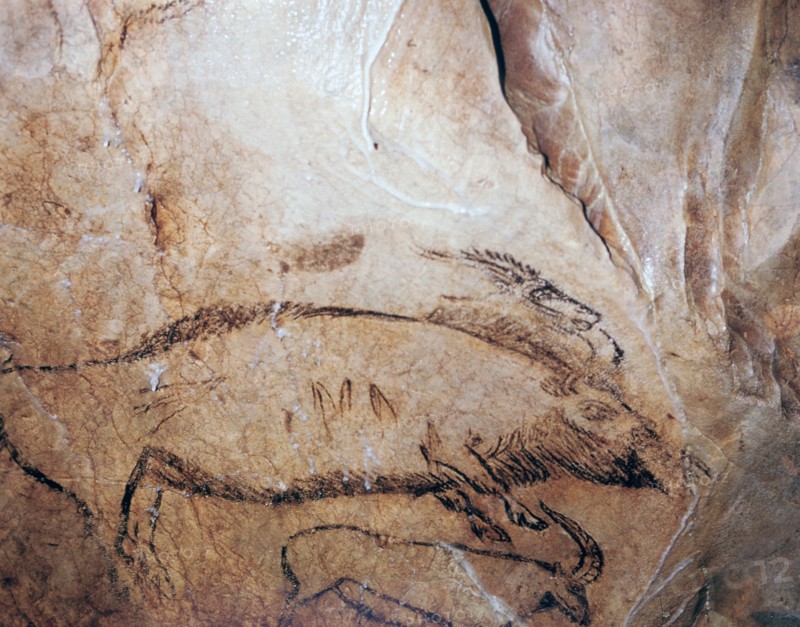 Paleolithic cave-painting of a bison and ibex. Artist: Unknown