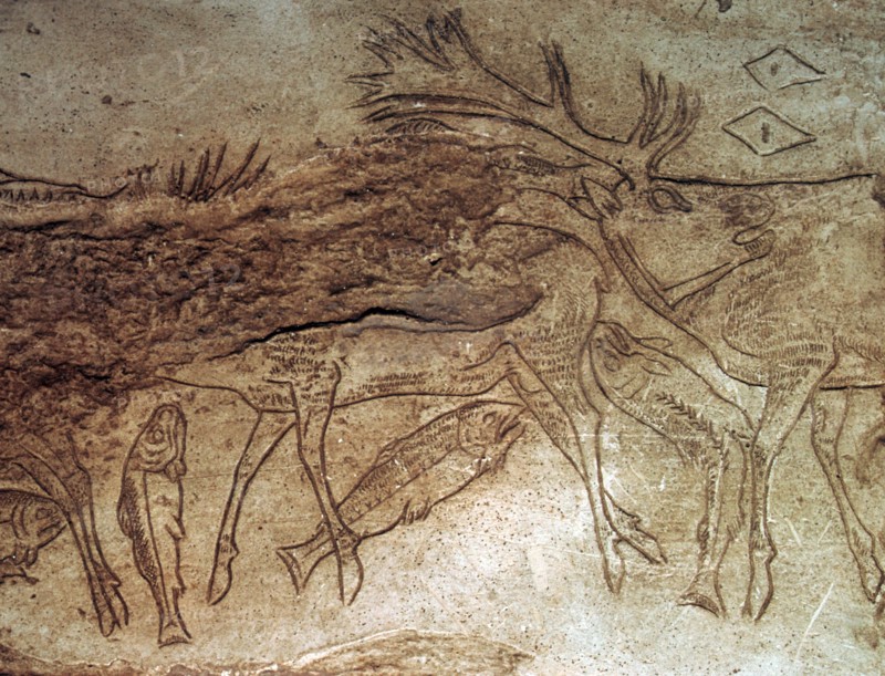 Paleolithic engraved bone with reindeer. Artist: Unknown