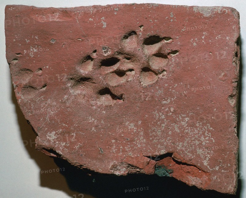 Roman tile with a dog's footprint, 3rd century. Artist: Unknown
